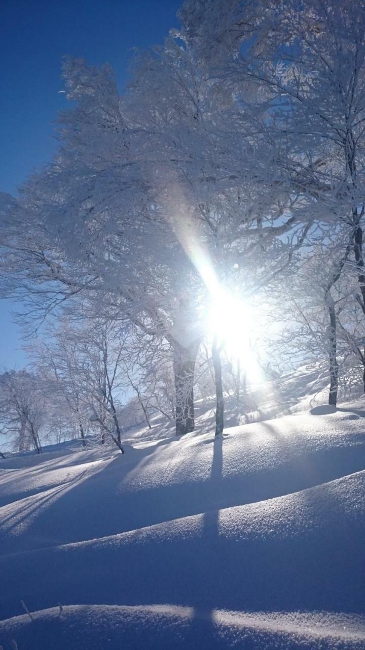 Nozawa Dream Central ภายนอก รูปภาพ