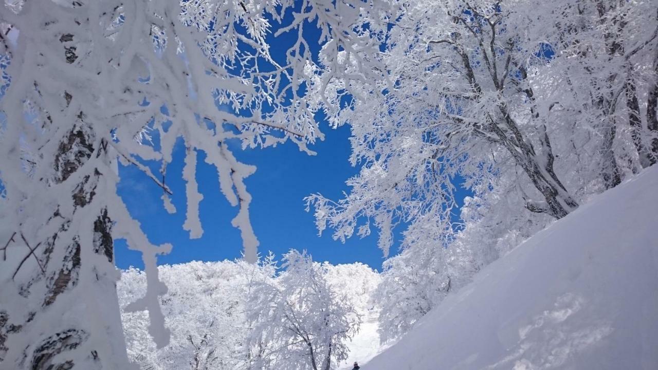 Nozawa Dream Central ภายนอก รูปภาพ
