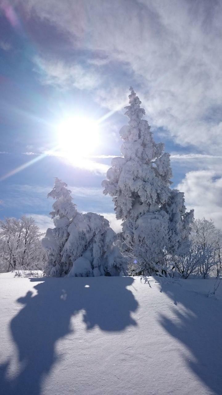 Nozawa Dream Central ภายนอก รูปภาพ